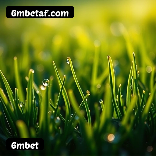 6 vantagens exclusivas do programa VIP da 6mbet